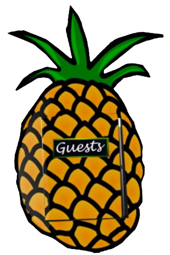 pineapple guestbook