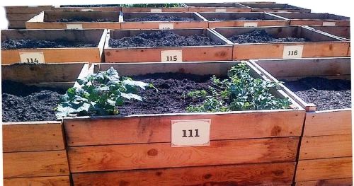 Vancouver-20130730-00122crop500x263