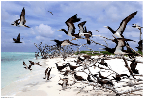 Screen Shot 2014-09-04 at 10.21.48 am