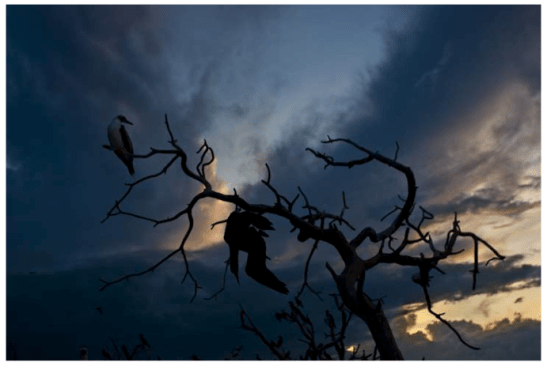 Screen Shot 2014-09-04 at 9.21.20 am