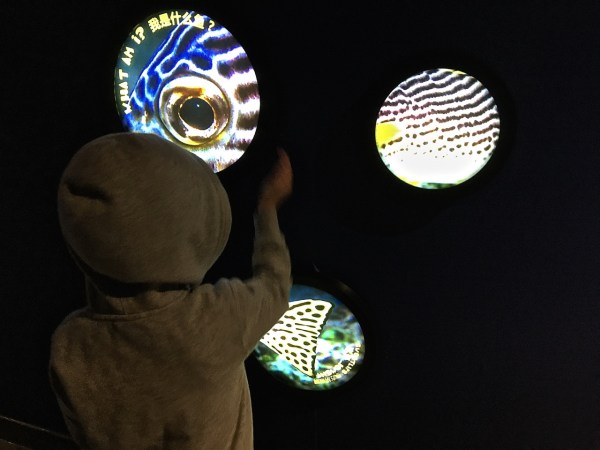 7- Q & A in the dark