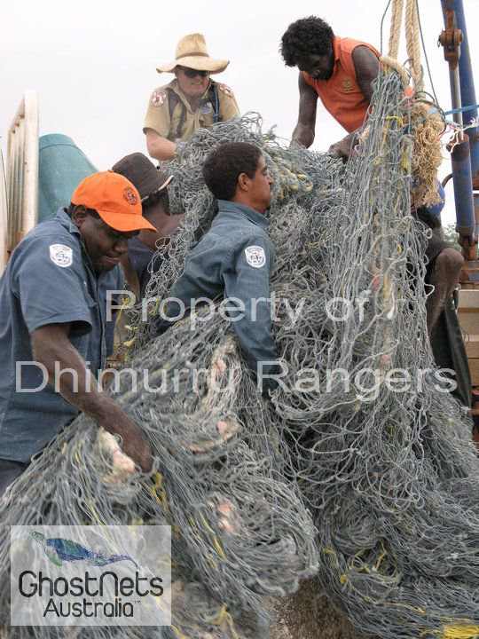 252184_107958615971657_49823_n