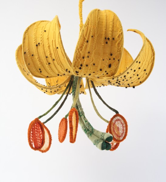 tumblr_mapzlxlOgn1r1fjxqo1_1280